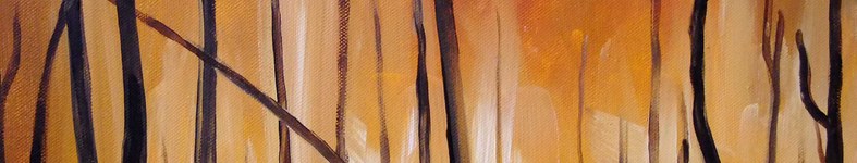 Banner profilu
