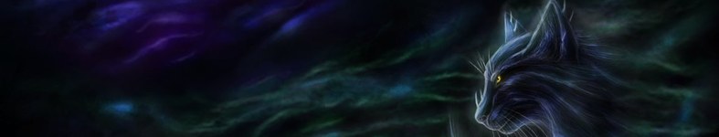 Banner profilu