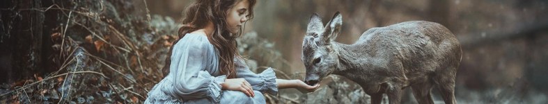Banner profilu