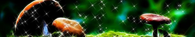 Banner profilu