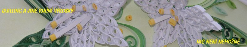 Banner profilu