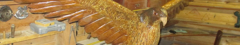 Banner profilu