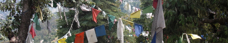 Banner profilu
