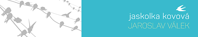 Banner profilu