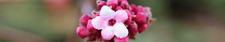 Banner profilu