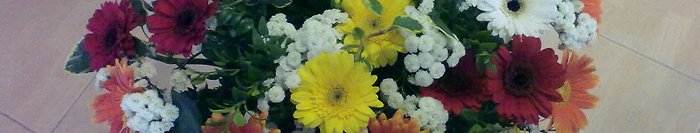Banner profilu