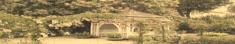 Banner profilu