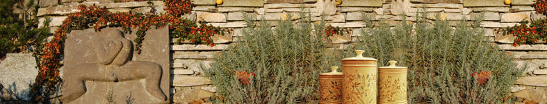 Banner profilu