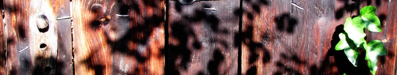 Banner profilu
