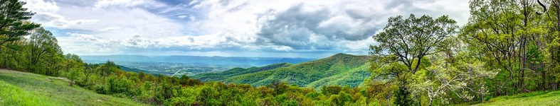 Banner profilu