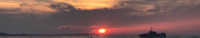 Banner profilu