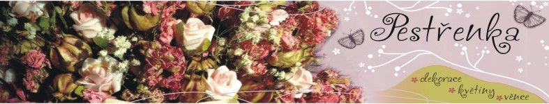 Banner profilu