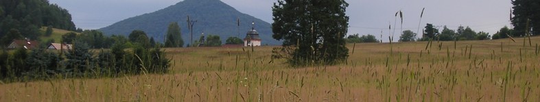 Banner profilu