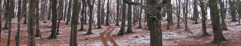 Banner profilu