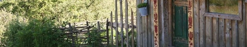 Banner profilu