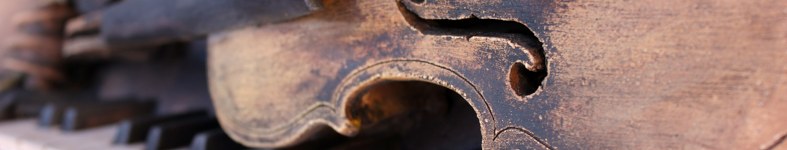 Banner profilu