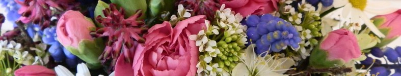 Banner profilu