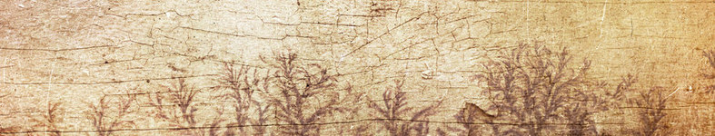 Banner profilu