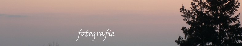 Banner profilu