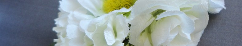 Banner profilu