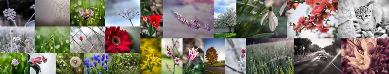 Banner profilu