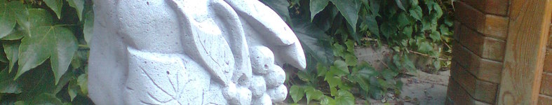Banner profilu