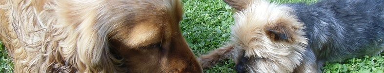 Banner profilu