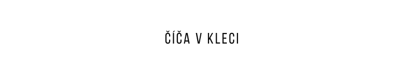 Banner profilu