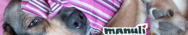 Banner profilu