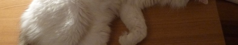 Banner profilu