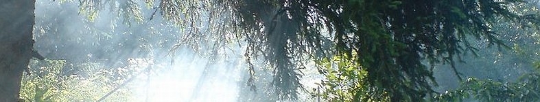 Banner profilu