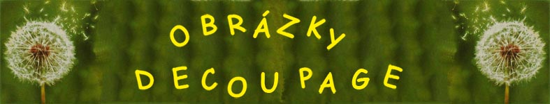 Banner profilu