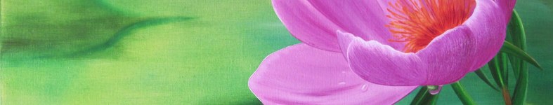 Banner profilu