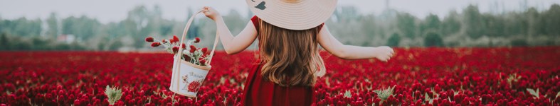 Banner profilu