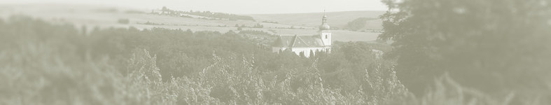Banner profilu