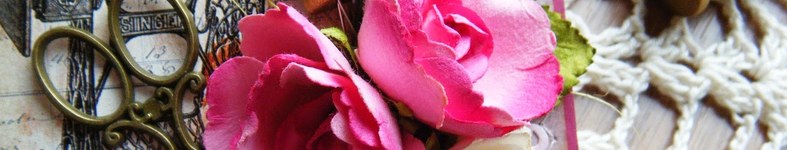 Banner profilu