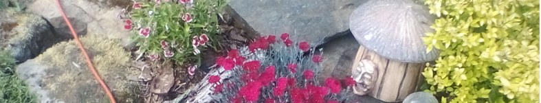 Banner profilu