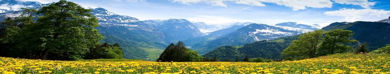 Banner profilu