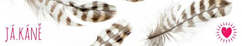 Banner profilu