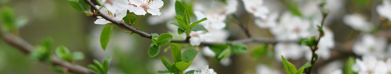 Banner profilu
