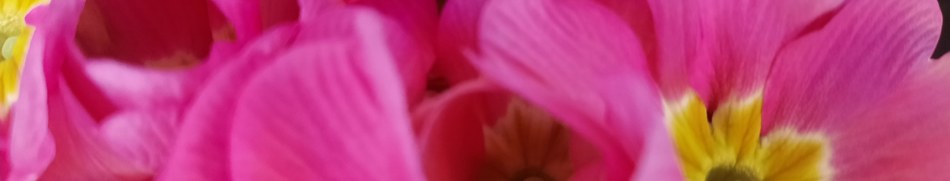 Banner profilu