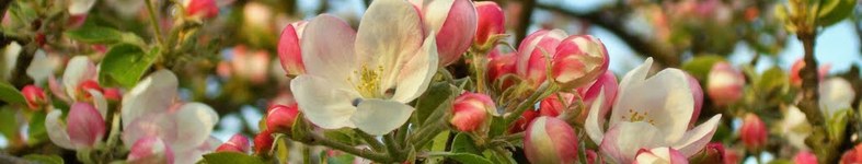 Banner profilu