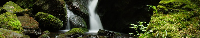 Banner profilu