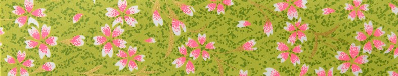 Banner profilu