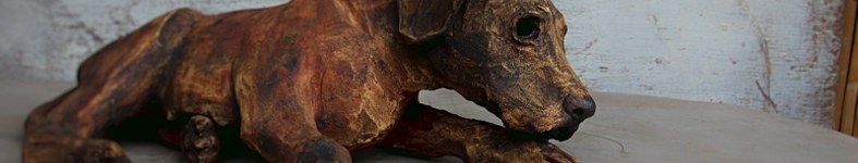 Banner profilu