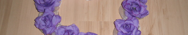 Banner profilu