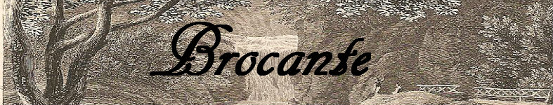 Banner profilu