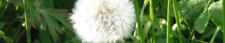 Banner profilu