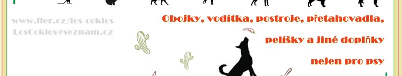 Banner profilu