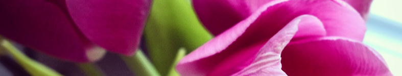 Banner profilu